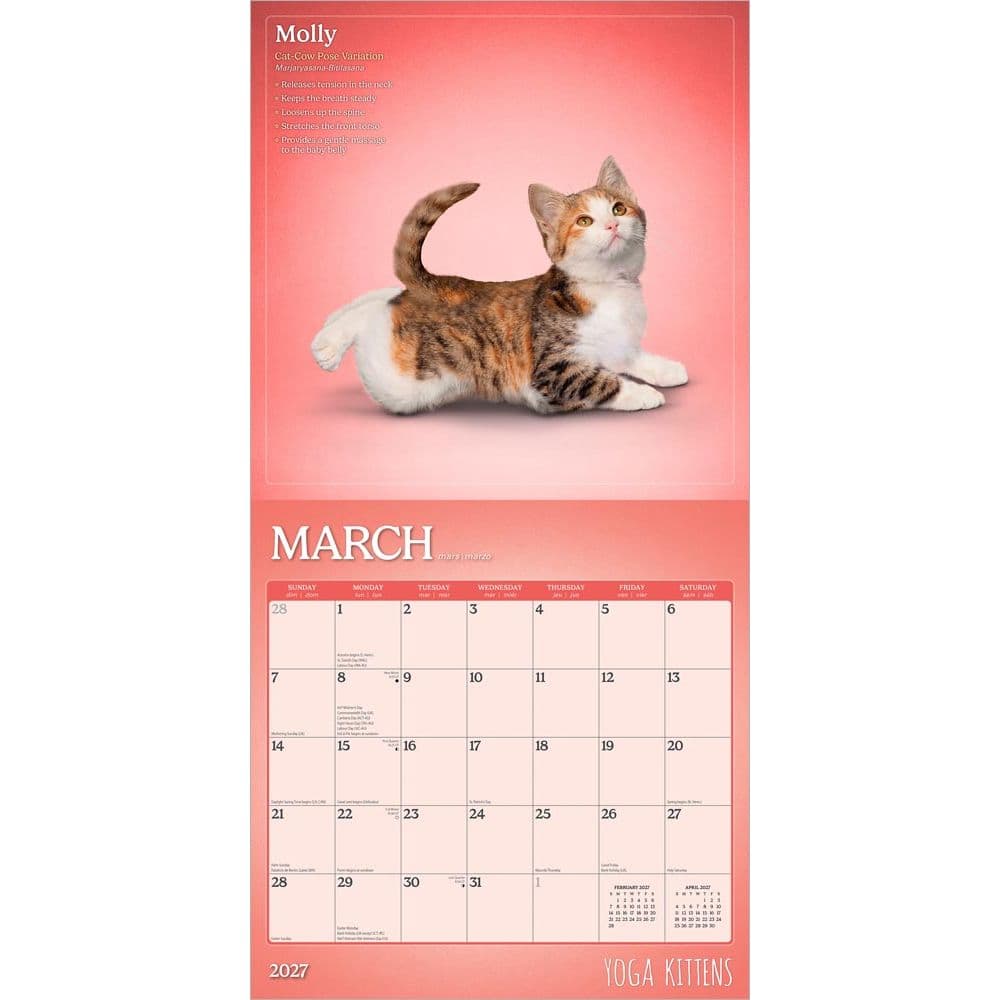Yoga Kittens Plato 2027 Wall Calendar Second Alternate Image