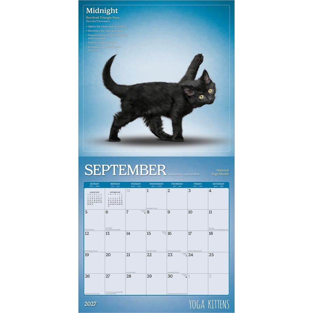 Yoga Kittens Plato 2027 Wall Calendar Third Alternate Image