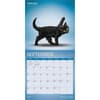 image Yoga Kittens Plato 2027 Wall Calendar Third Alternate Image