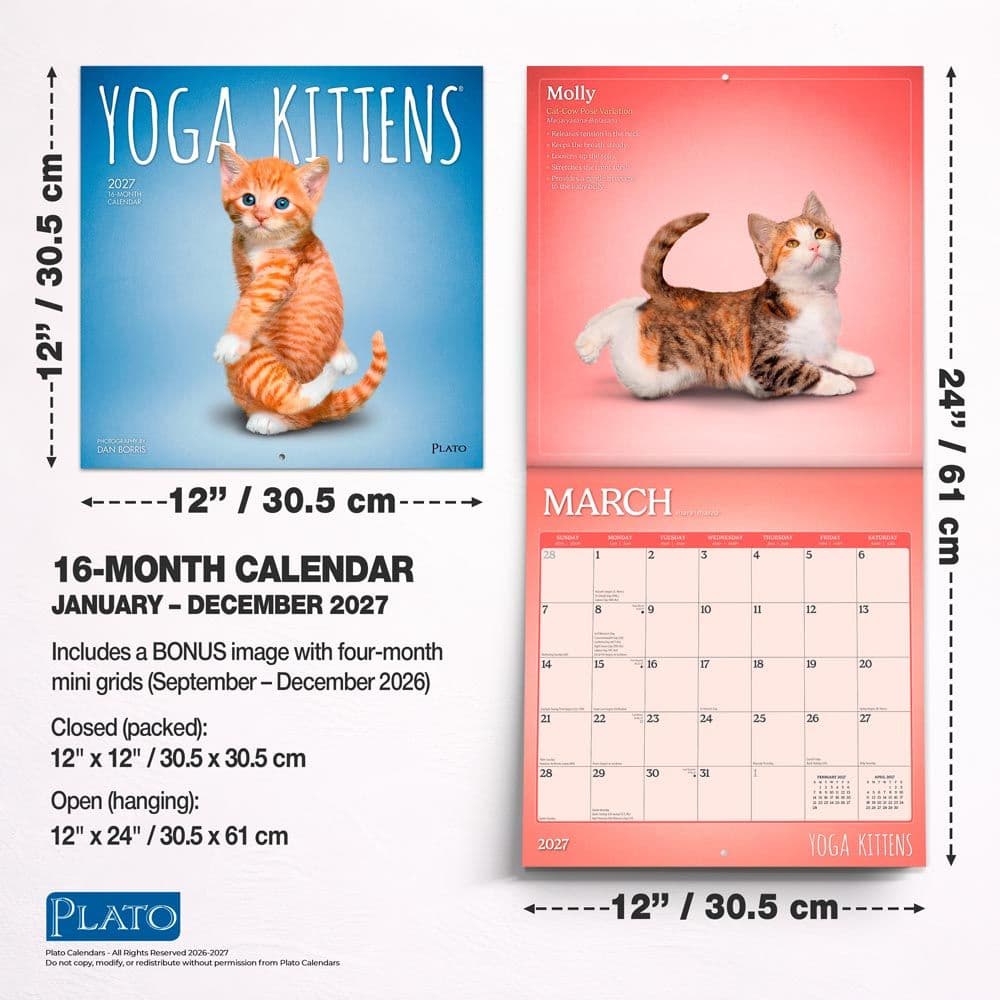 Yoga Kittens Plato 2027 Wall Calendar Sixth Alternate Image