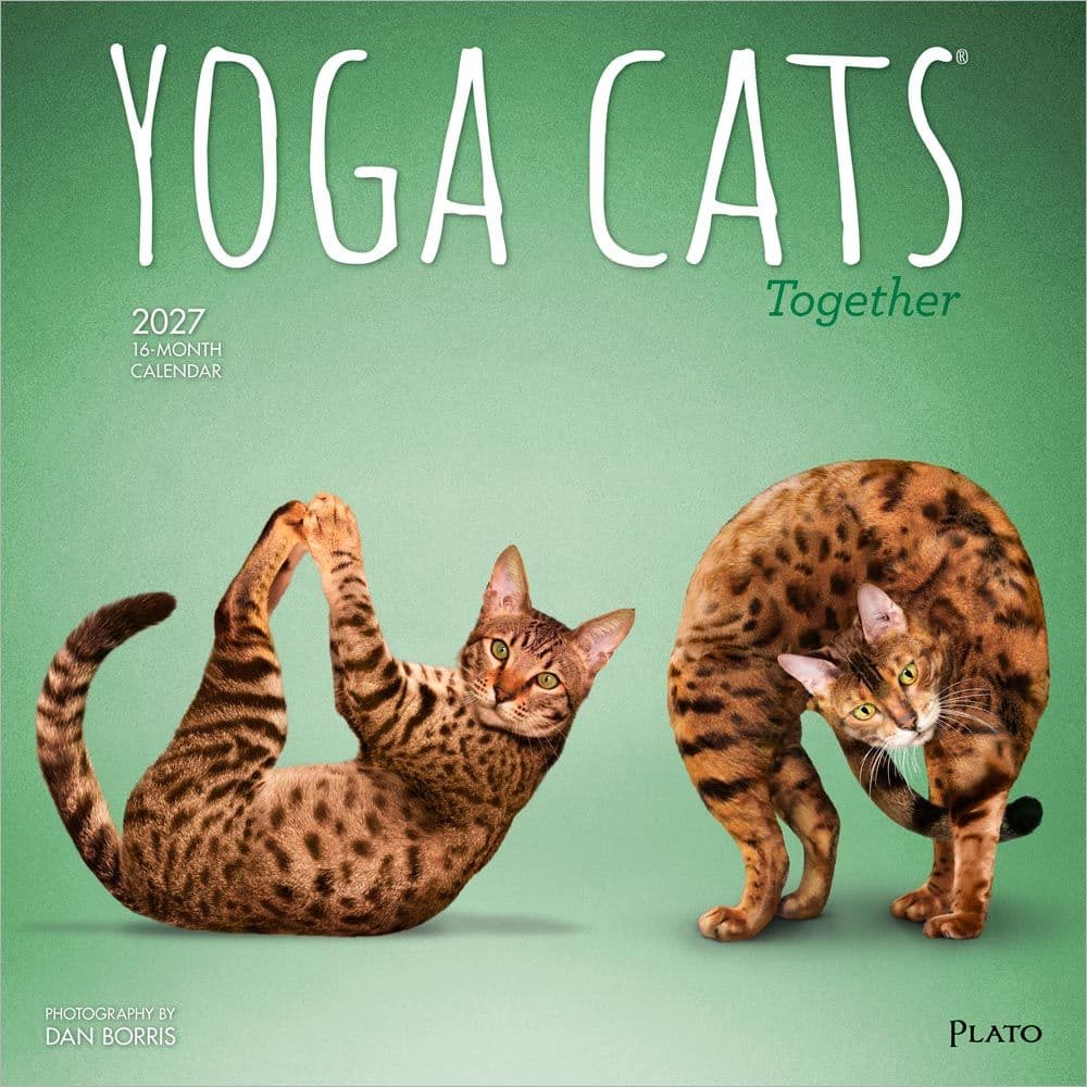 Yoga Cats Together 2027 Wall Calendar
