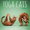 image Yoga Cats Together 2027 Wall Calendar Main Product Image