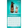 image Yoga Cats Together 2027 Wall Calendar Second Alternate Image
