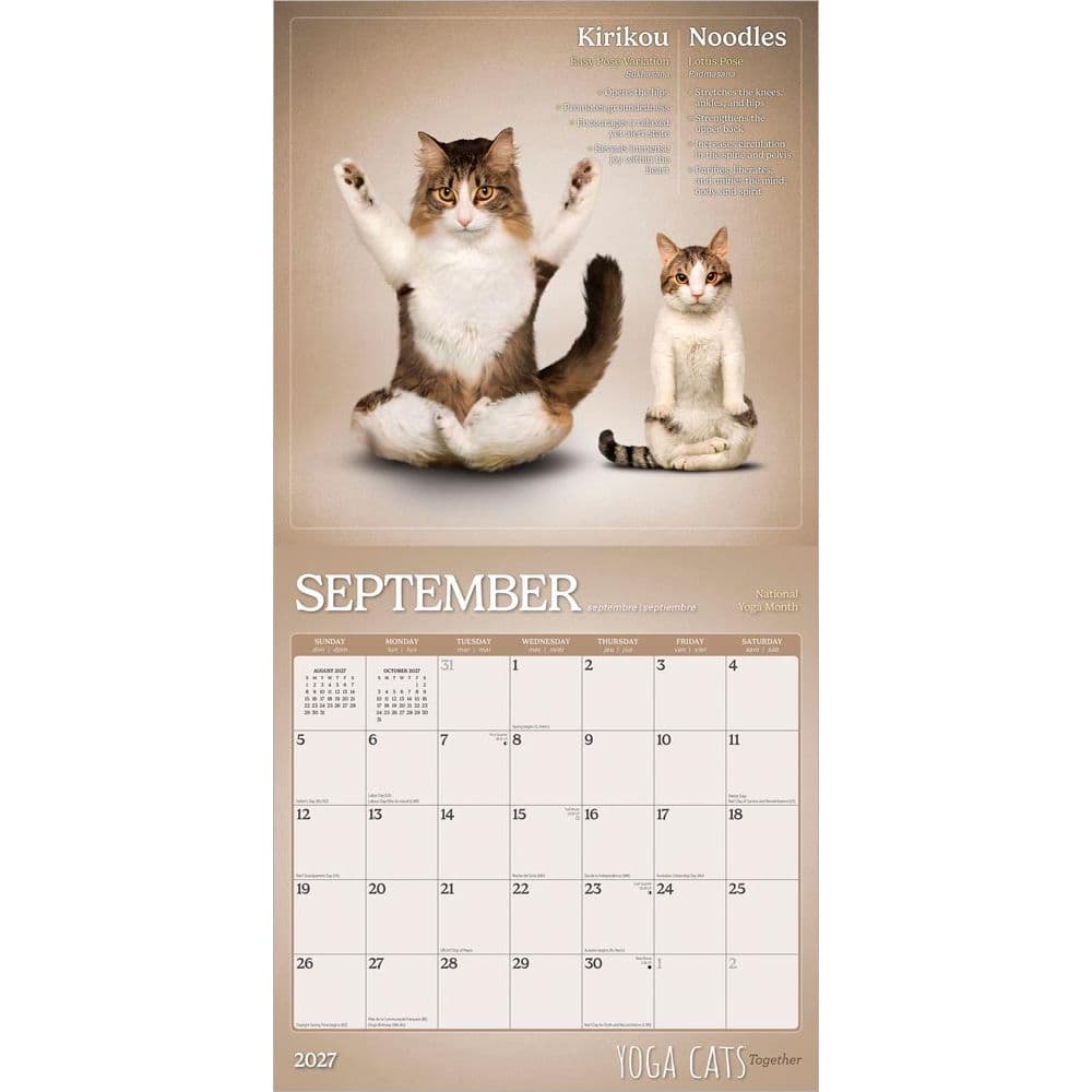 Yoga Cats Together 2027 Wall Calendar Third Alternate Image
