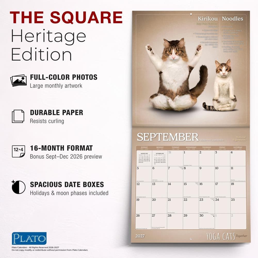 Yoga Cats Together 2027 Wall Calendar Fifth Alternate Image