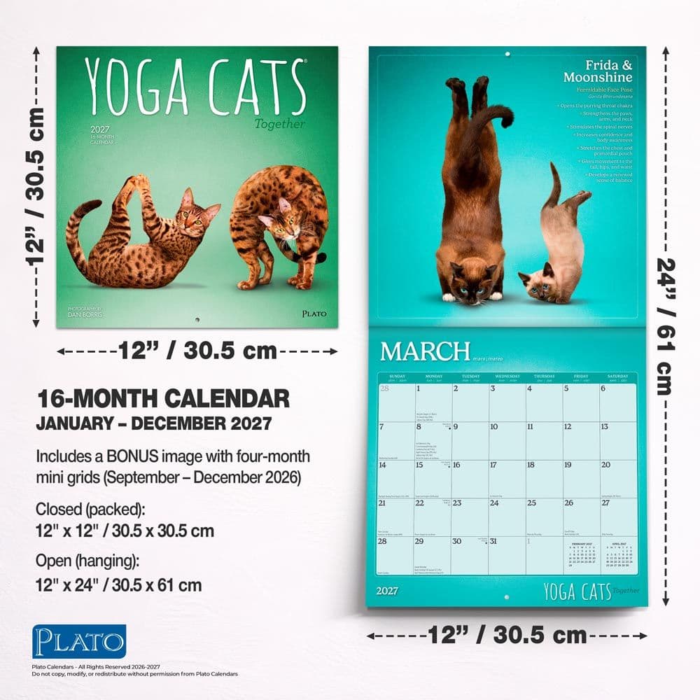 Yoga Cats Together 2027 Wall Calendar Sixth Alternate Image