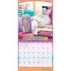 image Avanti Cranky Kitties 2027 Wall Calendar Third Alternate Image