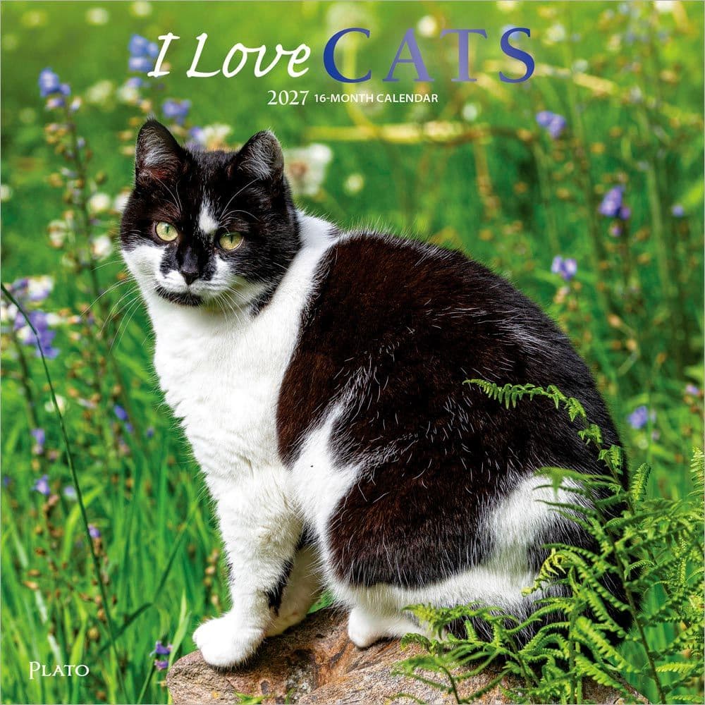 image I Love Cats Plato 2027 Wall Calendar Main Product Image