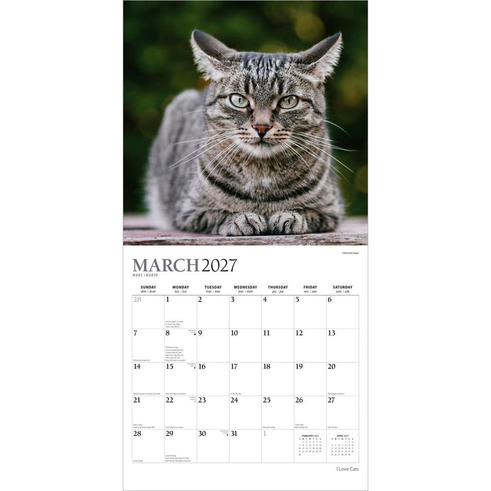 I Love Cats Plato 2027 Wall Calendar Second Alternate Image