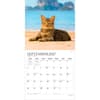 image I Love Cats Plato 2027 Wall Calendar Third Alternate Image