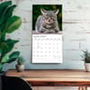 image I Love Cats Plato 2027 Wall Calendar Fourth Alternate Image