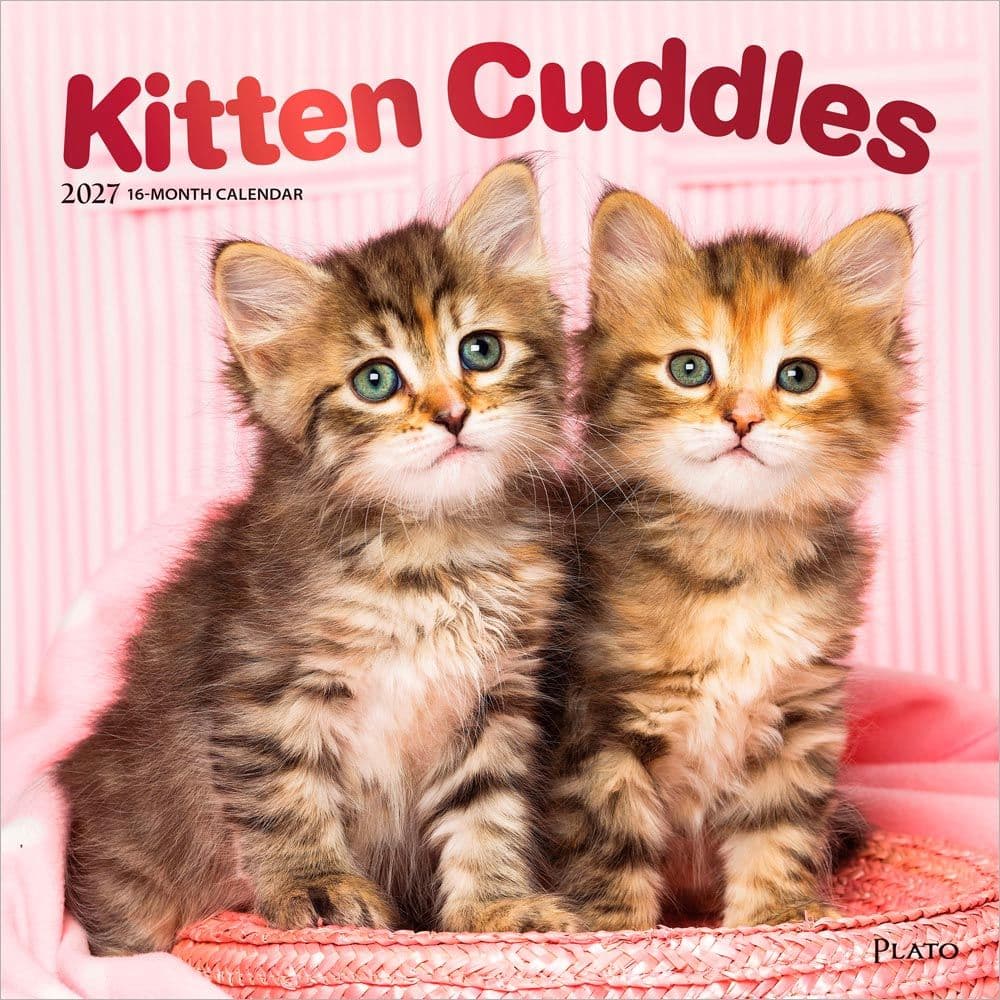 Kitten Cuddles Plato  2027 Wall Calendar Main Product Image