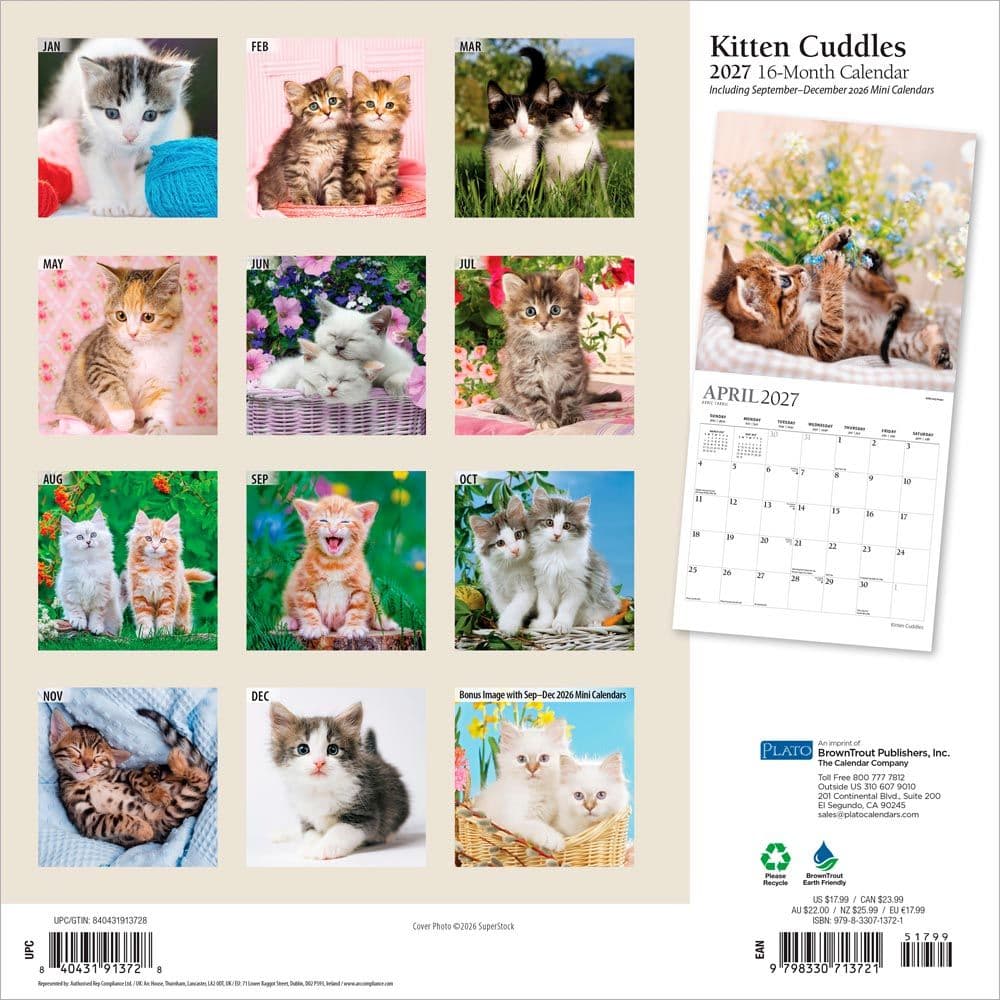 Kitten Cuddles Plato  2027 Wall Calendar First Alternate Image