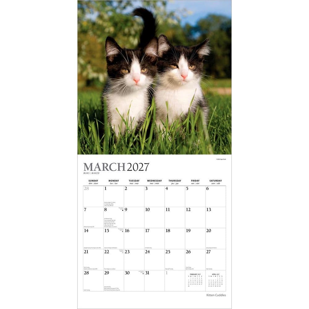 Kitten Cuddles Plato  2027 Wall Calendar Second Alternate Image