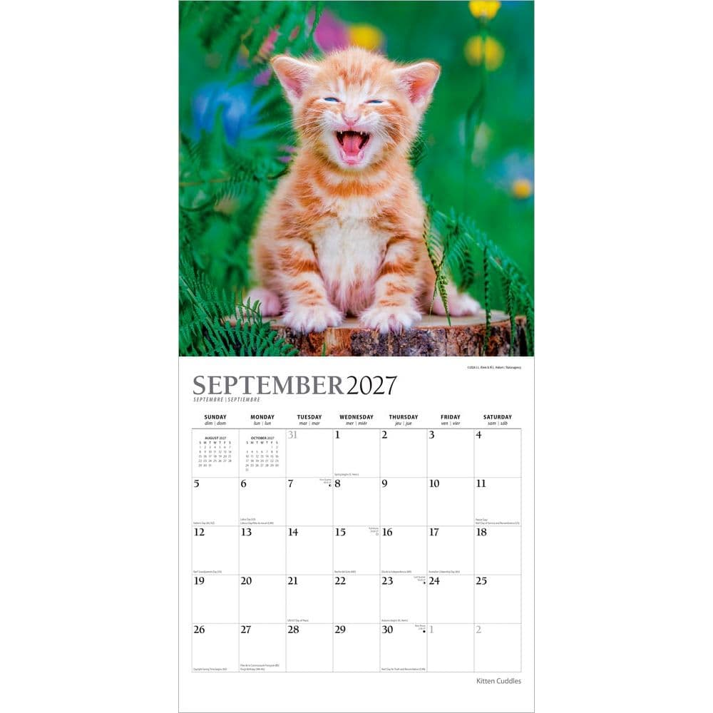 Kitten Cuddles Plato  2027 Wall Calendar Third Alternate Image