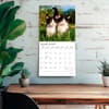 image Kitten Cuddles Plato  2027 Wall Calendar Fourth Alternate Image