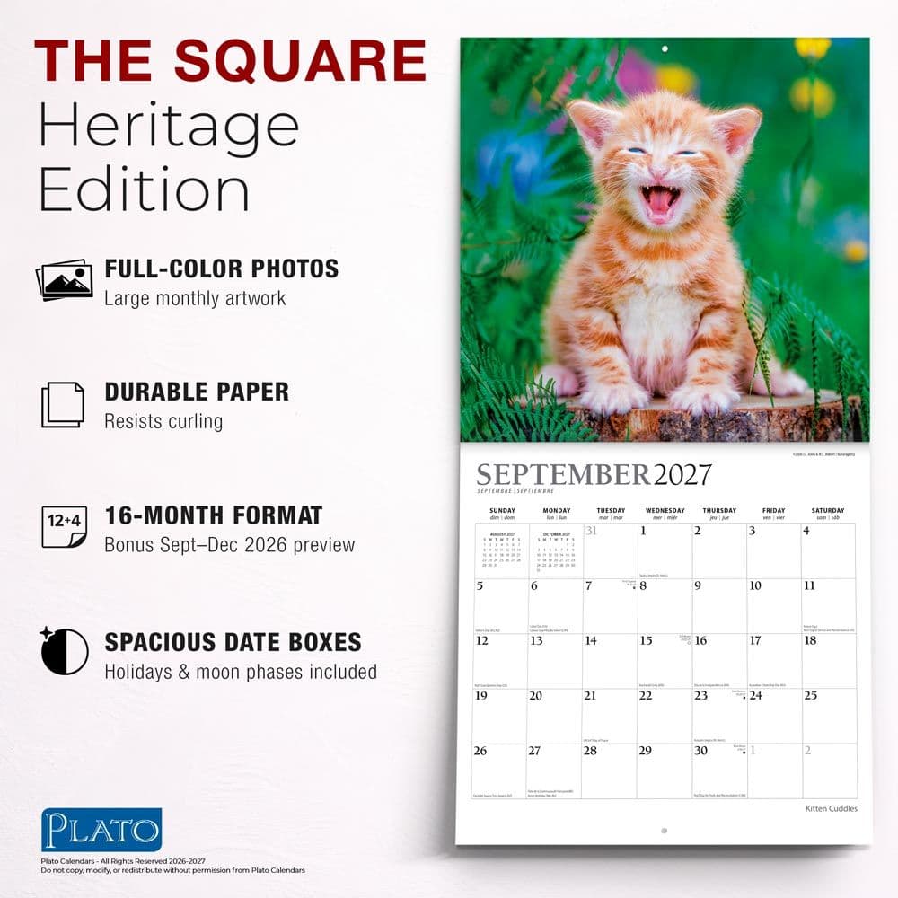 Kitten Cuddles Plato  2027 Wall Calendar Fifth Alternate Image