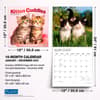 image Kitten Cuddles Plato  2027 Wall Calendar Sixth Alternate Image