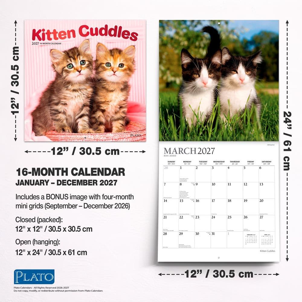 Kitten Cuddles Plato  2027 Wall Calendar Sixth Alternate Image