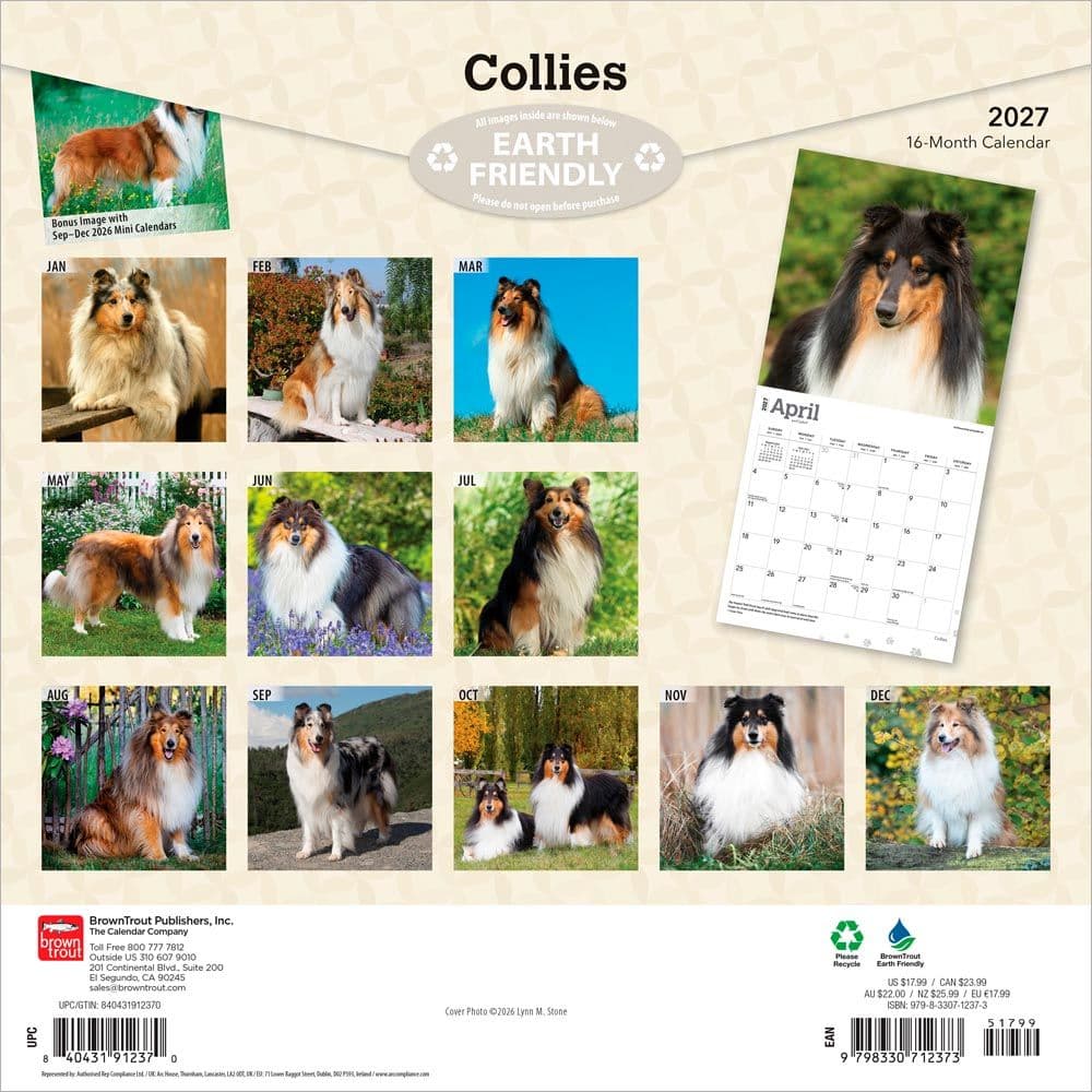 Collies 2027 Wall Calendar First Alternate Image