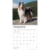 image Collies 2027 Wall Calendar Third Alternate Image