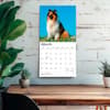 image Collies 2027 Wall Calendar Fourth Alternate Image