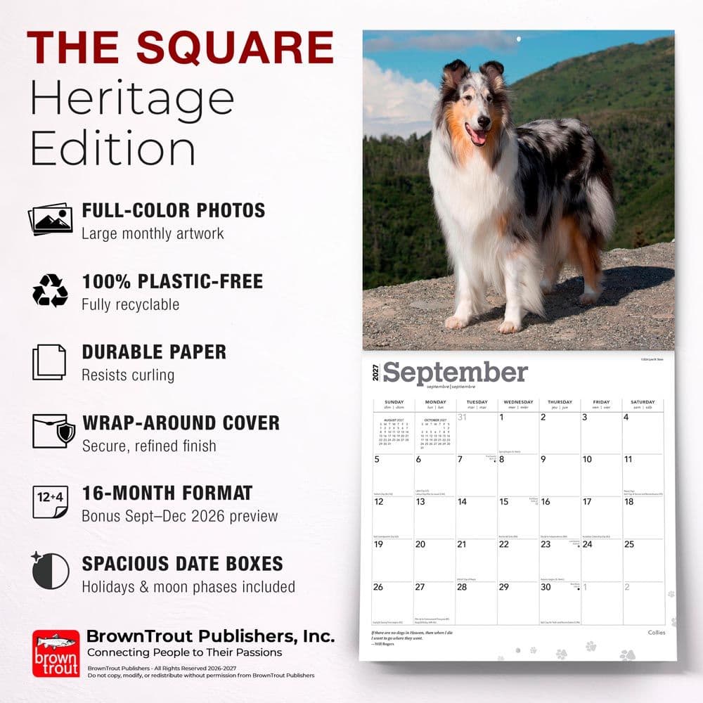 Collies 2027 Wall Calendar Fifth Alternate Image