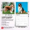 image Collies 2027 Wall Calendar Sixth Alternate Image