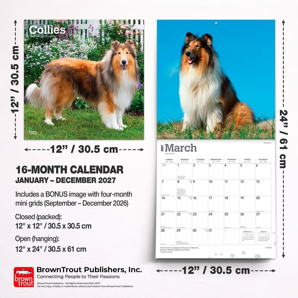 Collies 2027 Wall Calendar Sixth Alternate Image