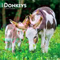 image Donkeys 2027 Wall Calendar Main Product Image