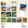 image Donkeys 2027 Wall Calendar First Alternate Image