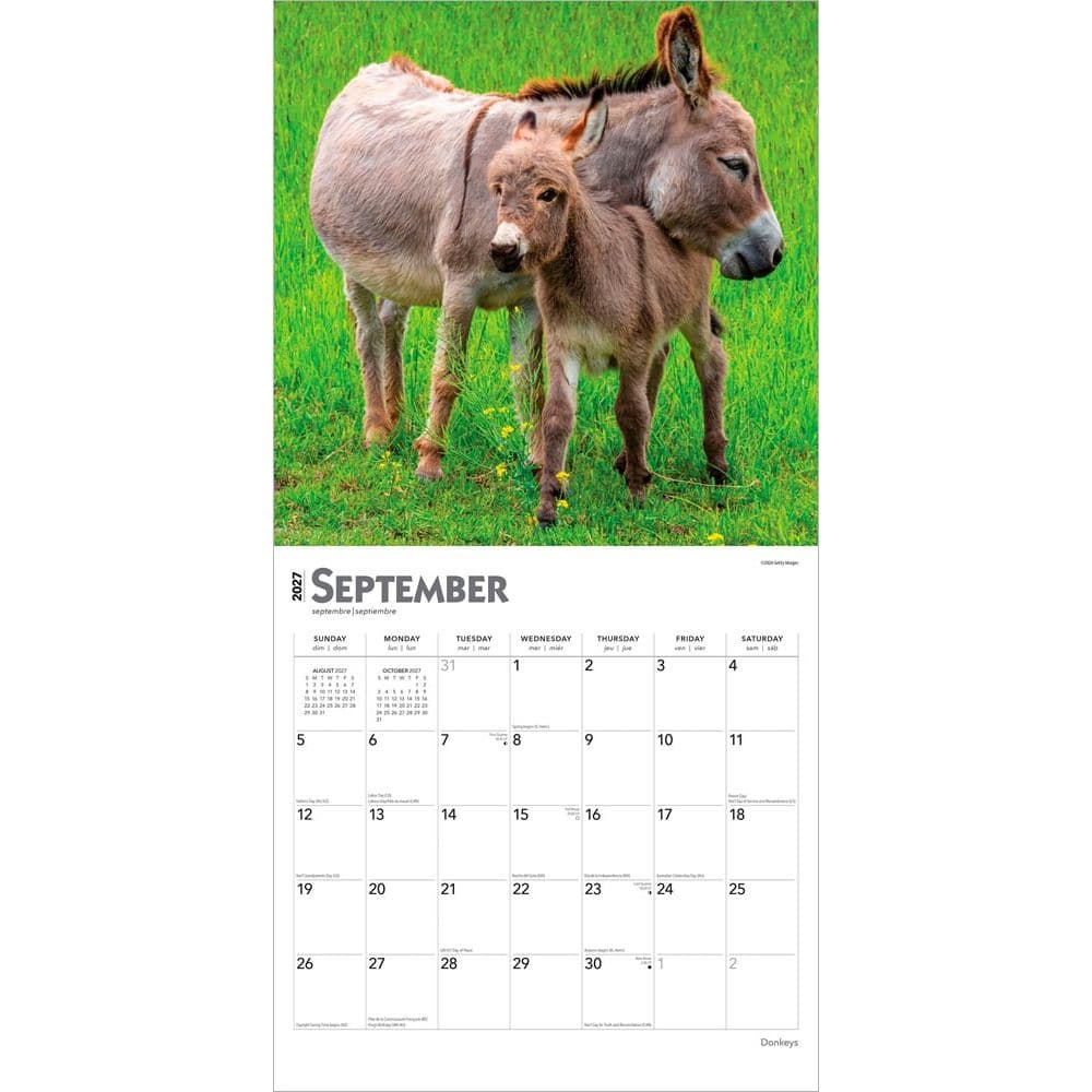 Donkeys 2027 Wall Calendar Third Alternate Image