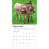 image Donkeys 2027 Wall Calendar Third Alternate Image