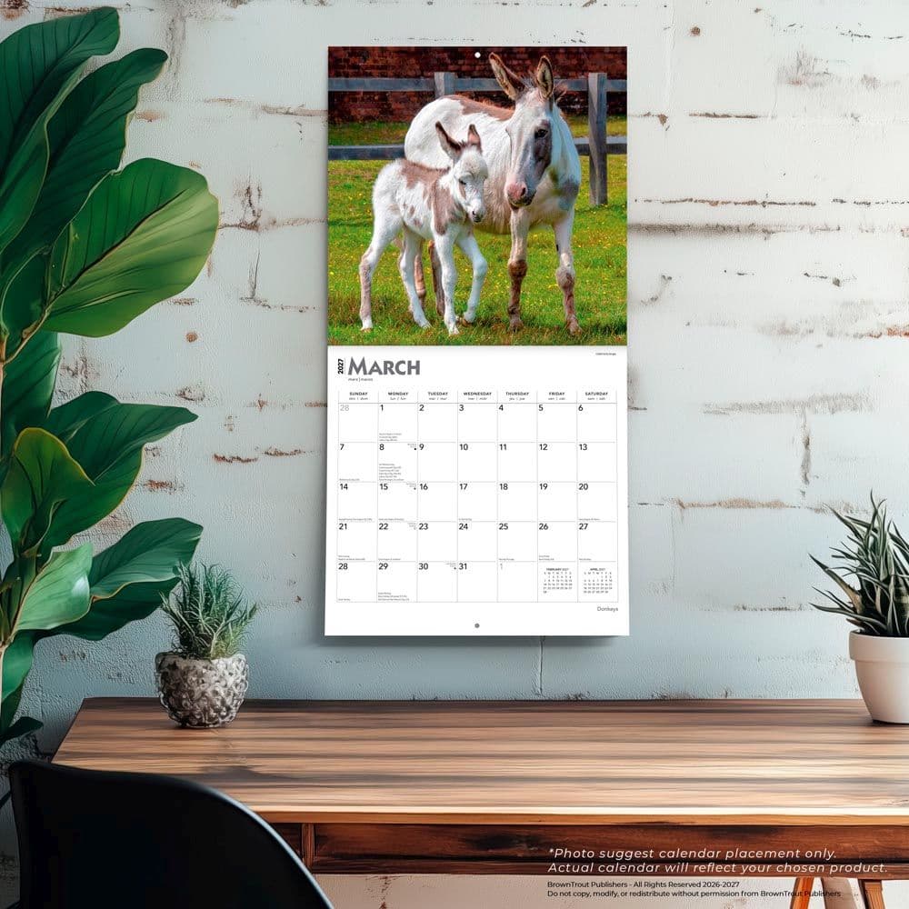 Donkeys 2027 Wall Calendar Fourth Alternate Image