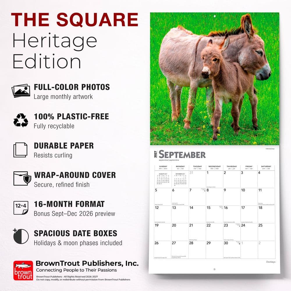 Donkeys 2027 Wall Calendar Fifth Alternate Image