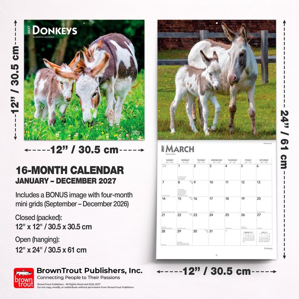 Donkeys 2027 Wall Calendar Sixth Alternate Image
