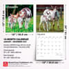 image Donkeys 2027 Wall Calendar Sixth Alternate Image
