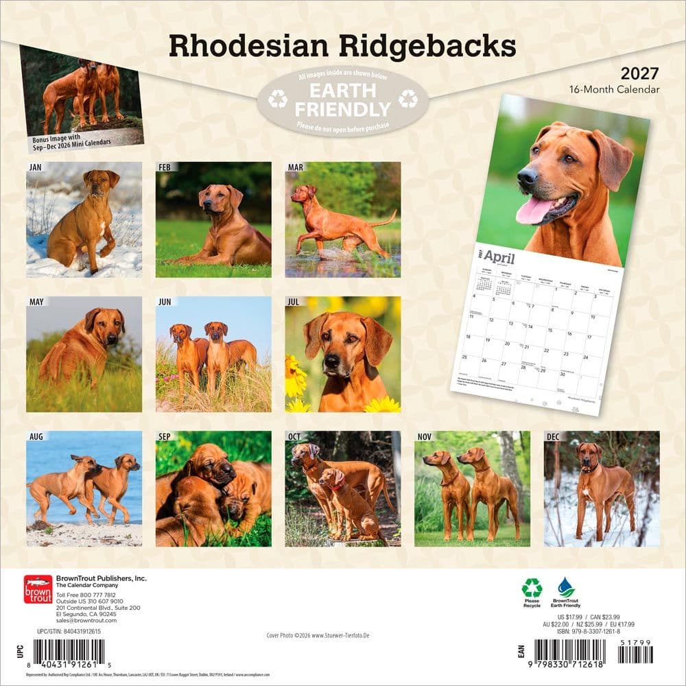 Rhodesian Ridgebacks 2027 Wall Calendar First Alternate Image