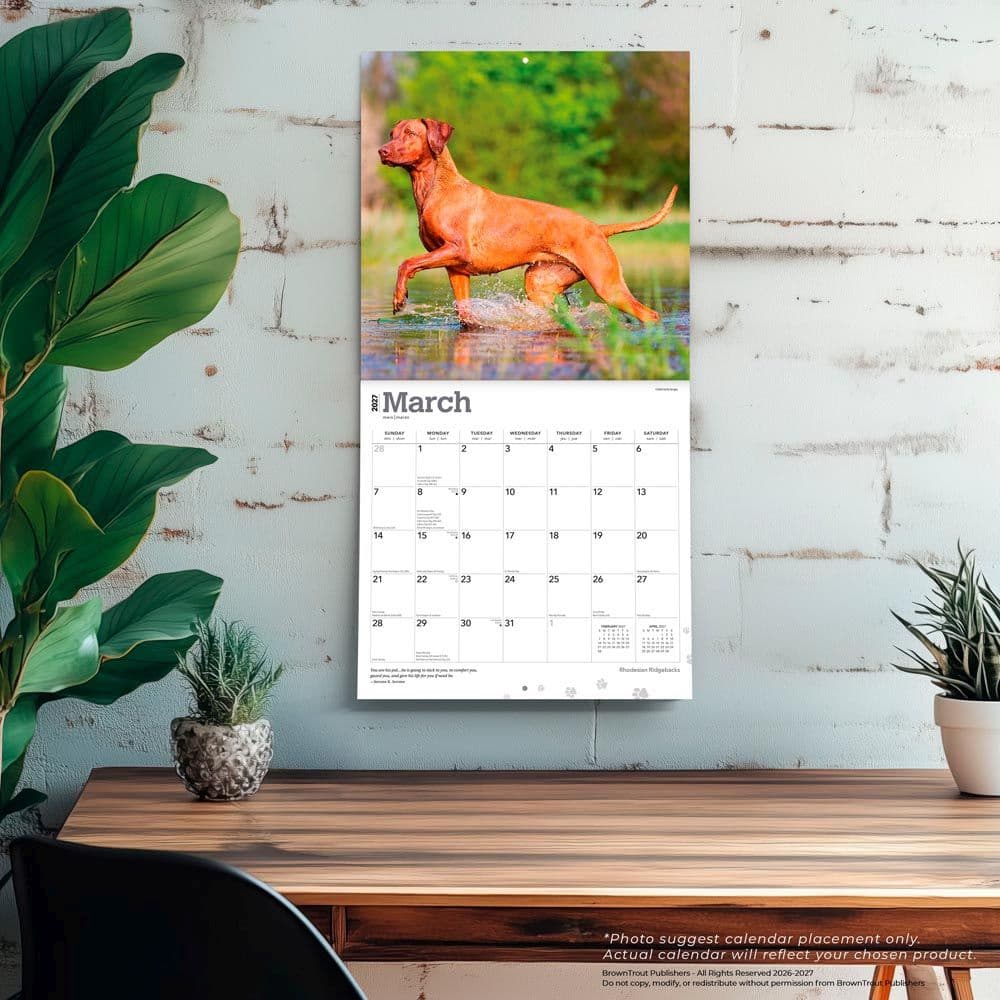 Rhodesian Ridgebacks 2027 Wall Calendar Fourth Alternate Image