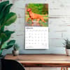 image Rhodesian Ridgebacks 2027 Wall Calendar Fourth Alternate Image