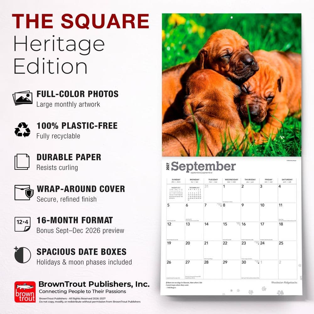 Rhodesian Ridgebacks 2027 Wall Calendar Fifth Alternate Image