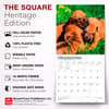 image Rhodesian Ridgebacks 2027 Wall Calendar Fifth Alternate Image