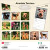 image Airedale Terriers 2027 Wall Calendar First Alternate Image