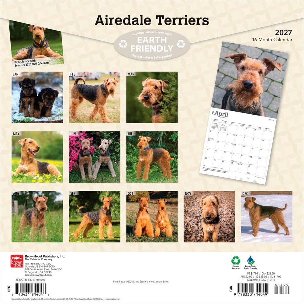 Airedale Terriers 2027 Wall Calendar First Alternate Image