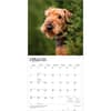 image Airedale Terriers 2027 Wall Calendar Second Alternate Image