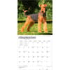 image Airedale Terriers 2027 Wall Calendar Third Alternate Image