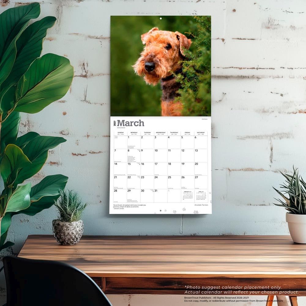 Airedale Terriers 2027 Wall Calendar Fourth Alternate Image