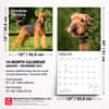image Airedale Terriers 2027 Wall Calendar Sixth Alternate Image