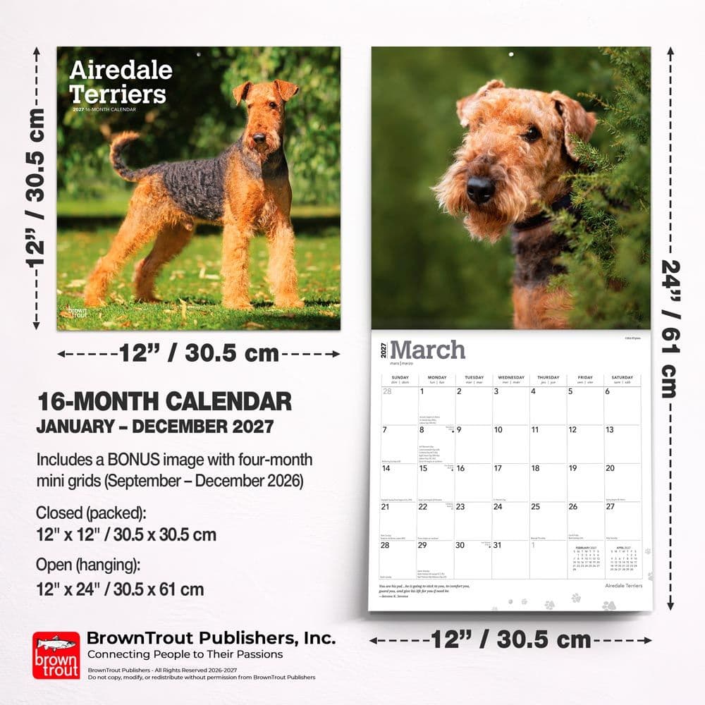 Airedale Terriers 2027 Wall Calendar Sixth Alternate Image