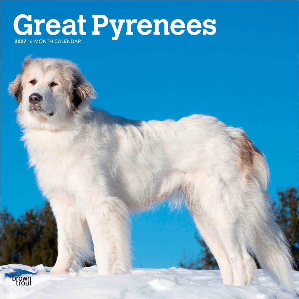 Great Pyrenees 2027 Wall Calendar Main Product Image